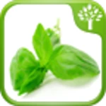 home remedies android application logo